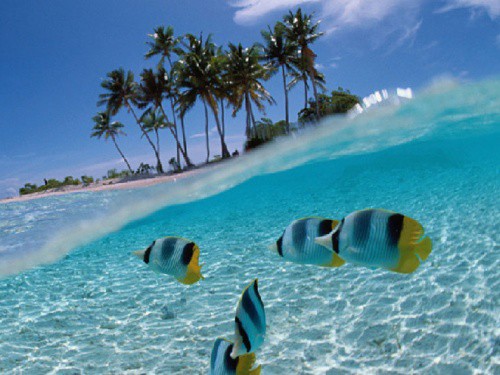 Snorkling - Dansresa - Salsaresa till Kuba